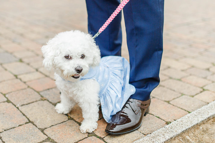 Dog Pet Romantic Rustic Blush Pink Wedding http://whitestagweddings.com/