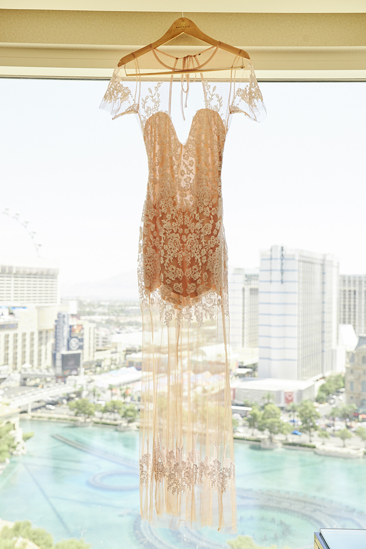 Dress Gown Sheer Lace Sleeves Blush Pink Hanging Up Hip Elvis Las Vegas Destination Wedding http://www.roseimages.co.uk/