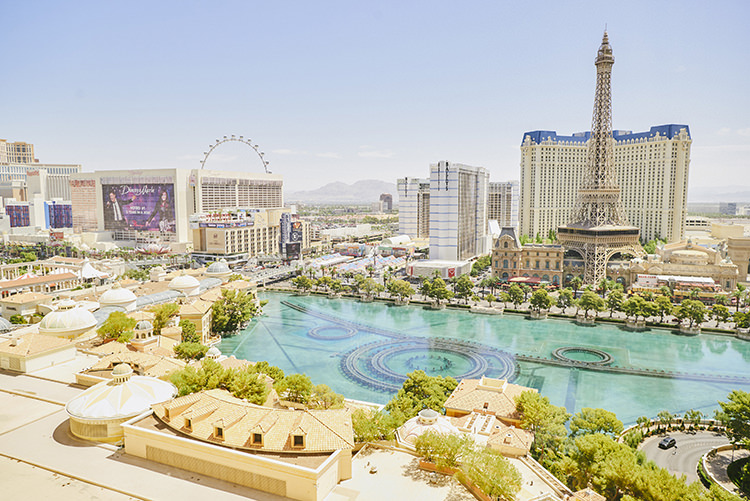 Views Eiffel Tower Desert Hip Elvis Las Vegas Destination Wedding http://www.roseimages.co.uk/