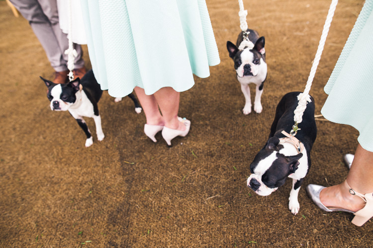 Dogs Pets Outdoorsy Welcoming Colourful Tipi Wedding http://www.sallytphoto.com/