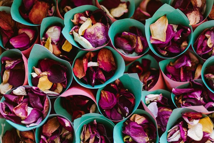 Confetti Cones Petals Rose Multicoloured Hand Made Fun Outdoor Wedding https://www.sharrongibson.co.uk/