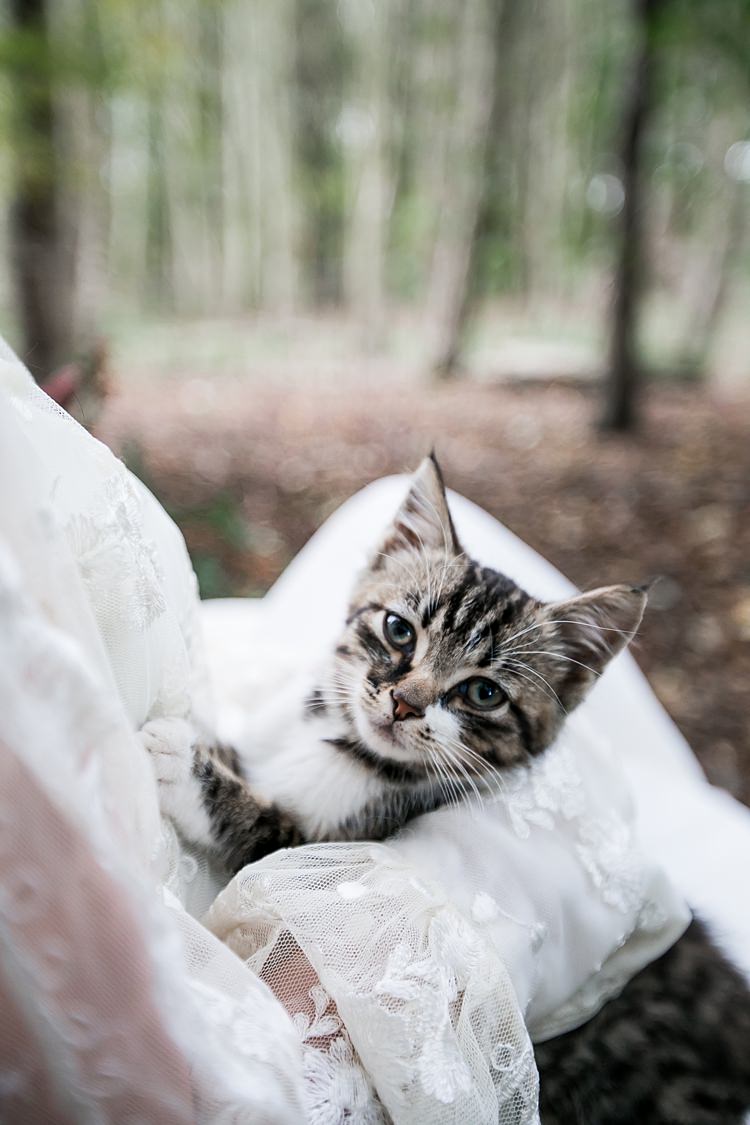 Kitten Cat Pets 1970s Gypsy Bohemian Autumn Woodland Wedding Ideas http://carolineopacicphotography.com/