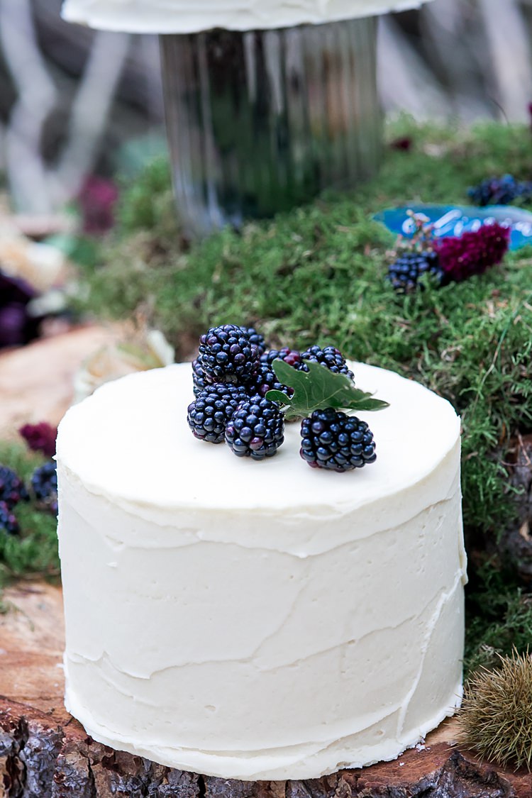Buttercream Cakes Log Moss Fruit 1970s Gypsy Bohemian Autumn Woodland Wedding Ideas http://carolineopacicphotography.com/