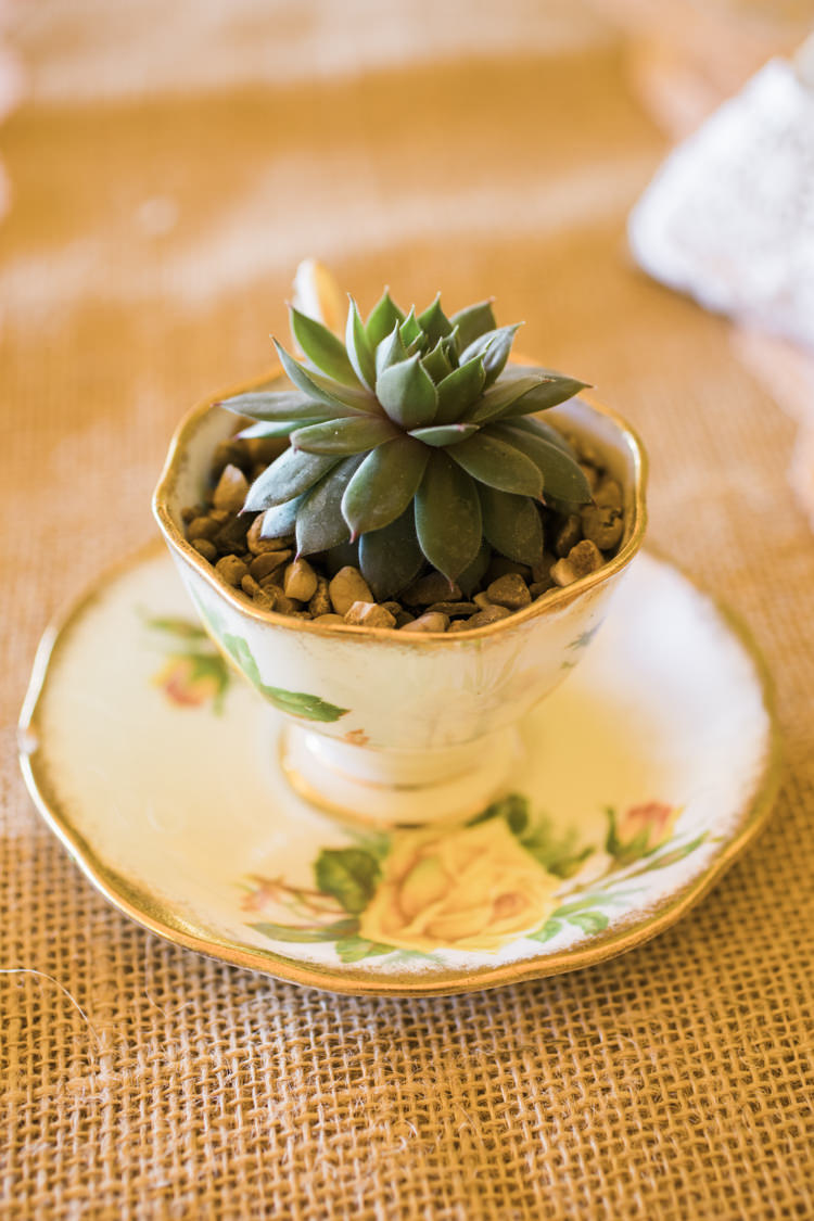 Tea Cup Succulents Unique Country Farm Tipi Wedding http://www.nataliedphotography.com/