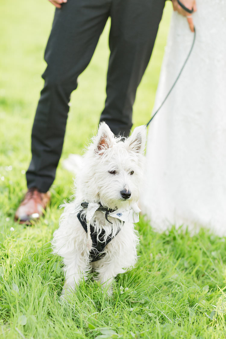Dog Pet Fun Late Summer Outdoor Farm Wedding http://bowtieandbellephotography.co.uk/