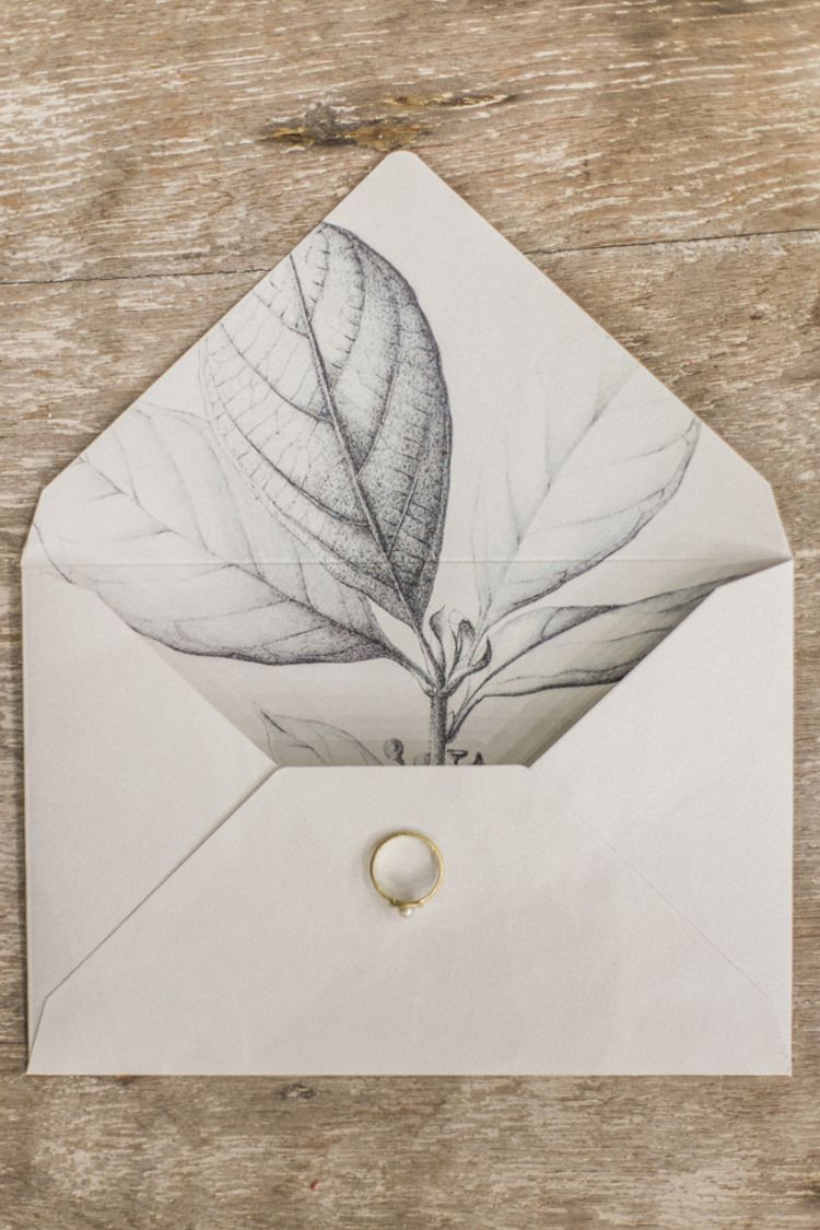 Stationery Envelope Liner Plant Illustration Modern Grey Monochrome | Greenery Botanical Wedding Ideas https://lisadigiglio.com/