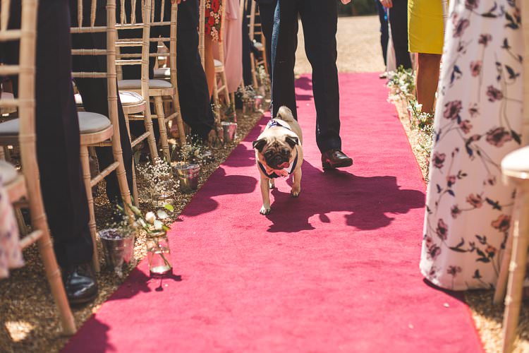 Rustic Outdoor Summer Wedding Pet Pug http://kirstymackenziephotography.co.uk/