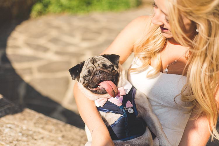 Rustic Outdoor Summer Wedding Pet Pug http://kirstymackenziephotography.co.uk/