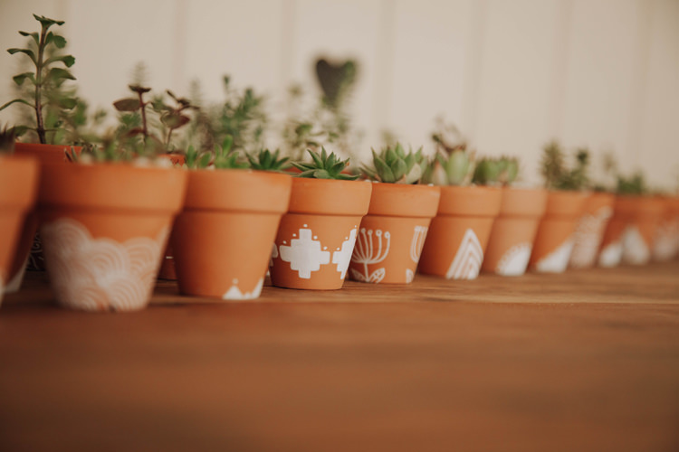 Painted Terracotta Succulents Orange Country Barn Wedding http://www.meganduffield.com/
