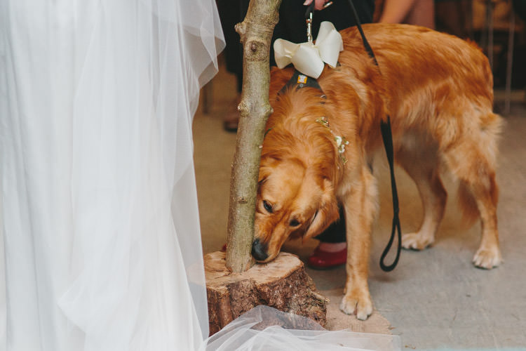 Happy DIY Woodland Wedding http://www.elliegracephotography.co.uk/