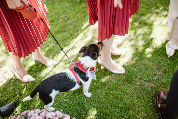 Vegan Handfasting Summer Garden Party Wedding https://www.elliegillard.co.uk/