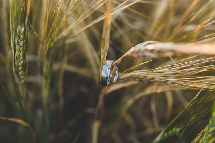 Rainbow Farm Creative Wedding http://www.livvy-hukins.co.uk/