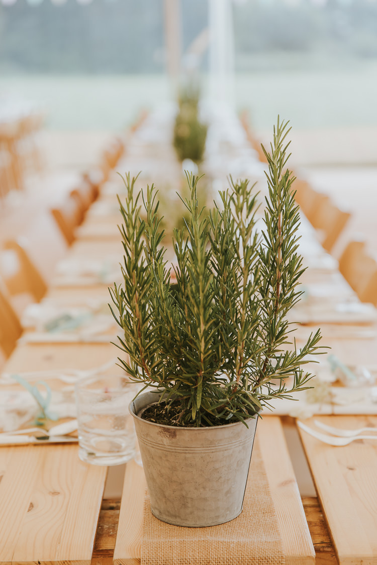 Rosemary Potted Plant Decor Tables Sperry Tent Marquee Farm Wedding http://www.paulunderhill.com/