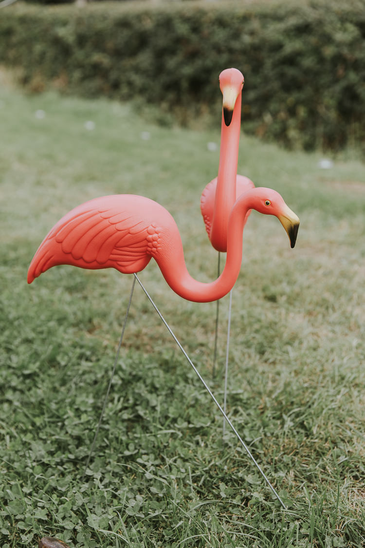 Flamingos Lawn Grass Sperry Tent Marquee Farm Wedding http://www.paulunderhill.com/