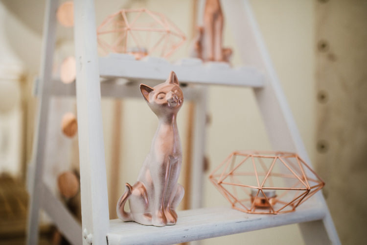 Fun Town Hall Countryside Gardens Cat Wedding http://www.allymphotography.com/