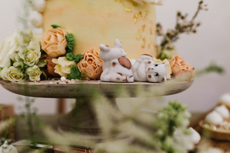 Fun Town Hall Countryside Gardens Cat Wedding http://www.allymphotography.com/
