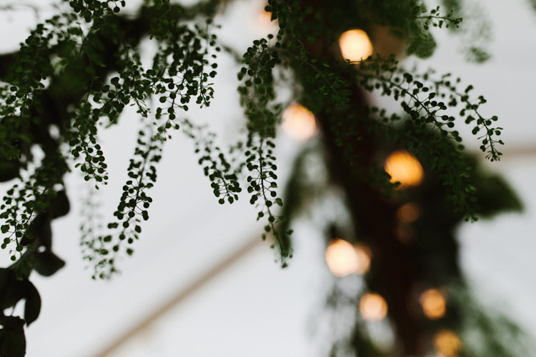 Fun Town Hall Countryside Gardens Cat Wedding http://www.allymphotography.com/