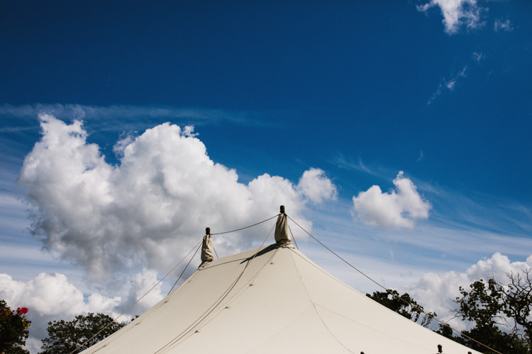 Fun Town Hall Countryside Gardens Cat Wedding http://www.allymphotography.com/