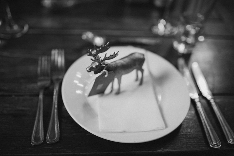 Playful Metallic Zoo Winter Wedding https://www.jennbrookesphotographer.com/