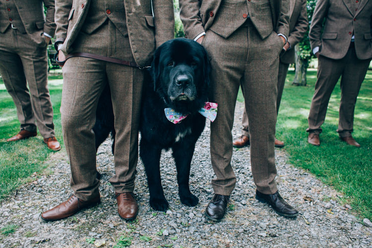 Pet Dog Ring Bearer Flowery Bohemian Secret Garden Wedding https://caseyavenue.co.uk/
