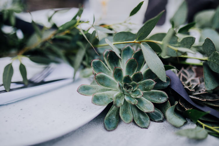 Tablescape Decor Grey White Greeenery Candles Foliage Fabric Ocean Clifftop Elopement Wedding Ideas North Wales https://www.claracooperphotography.com/