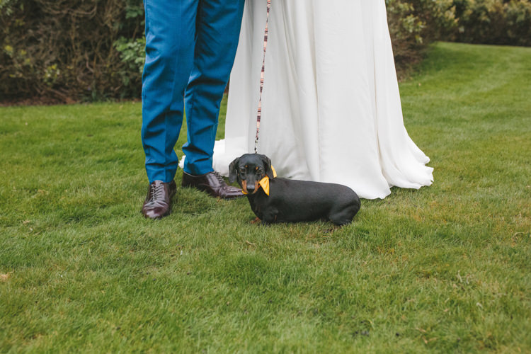 Sausage Dog Pet Pup Bow Tie Pretty Spring Yellow Fun Personal Wedding Yeldersley Hall Derbyshire http://www.elliegracephotography.co.uk/