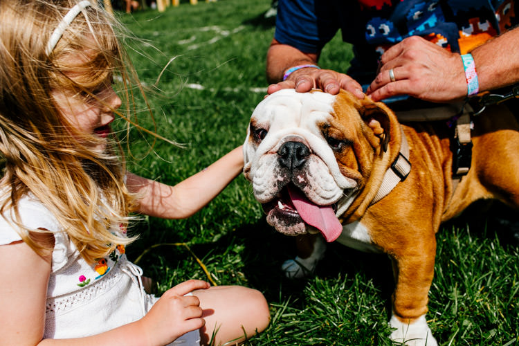 Dog Pet Bright Fun Festival Boho Wedding The Party Field East Sussex http://epiclovestory.co.uk/