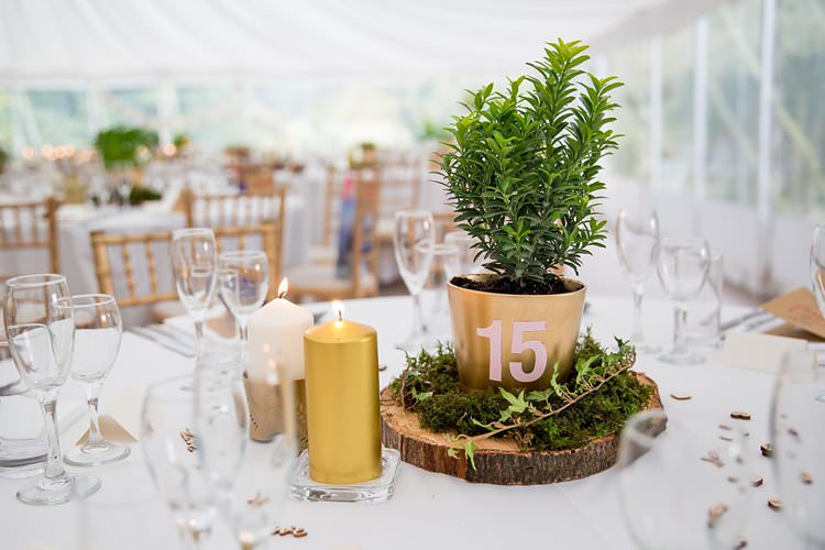 Centrepiece Flowers Pot Number Table Lof Slice Moss Rustic Autumn Blush Pink Gold Wedding Narborough Hall Gardens Norfolk http://katherineashdown.co.uk/