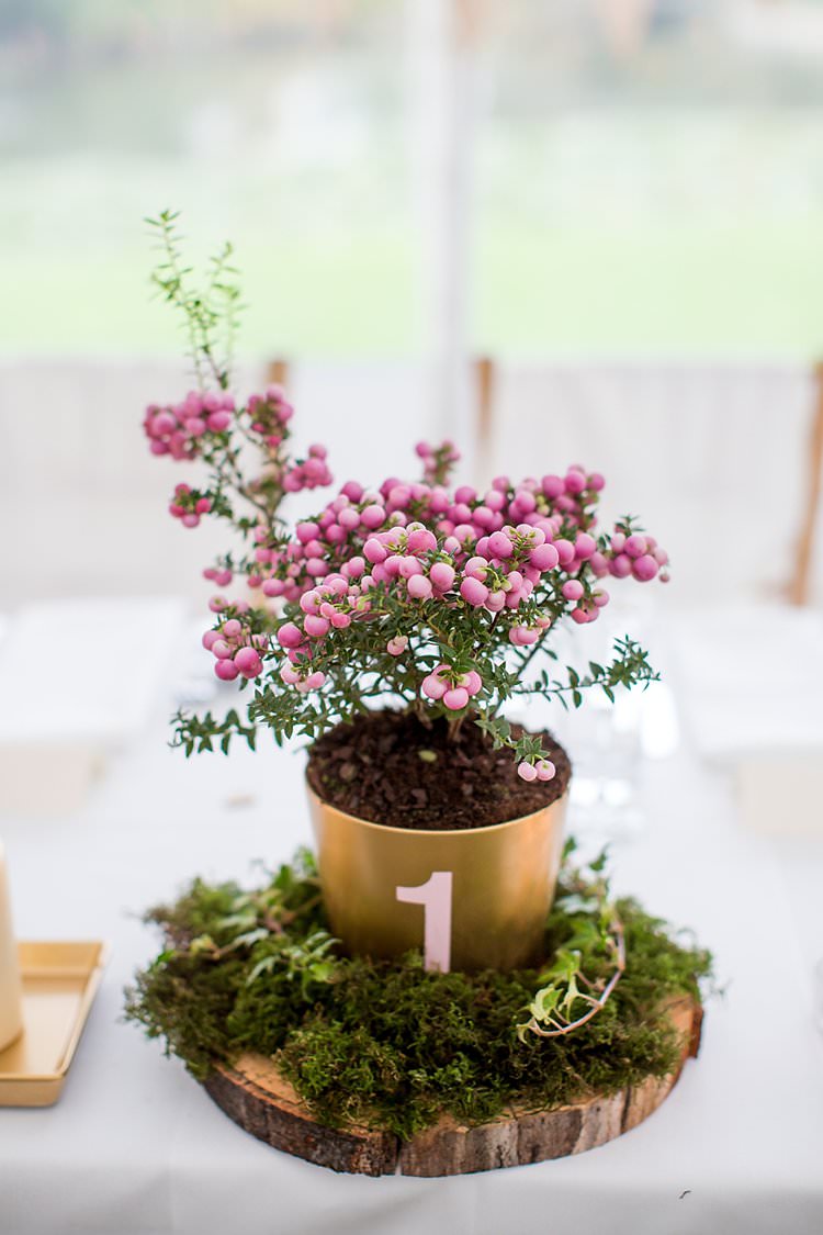Centrepiece Flowers Pot Number Table Lof Slice Moss Rustic Autumn Blush Pink Gold Wedding Narborough Hall Gardens Norfolk http://katherineashdown.co.uk/