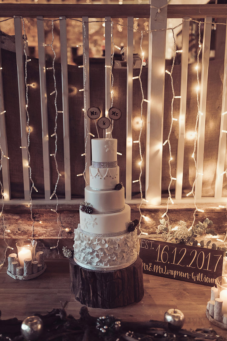 Cake Diamante Mr & Mr Pea Fairy Light Wood Slice Log Magical Wonderland Askham Hall Wedding Winter Tiree Dawson Photography
