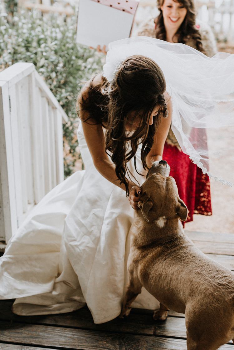 Warehouse Modern Refined Rustic Chic Bride Dog Pet | Boho Industrial Winter Wedding Lunalee Photography