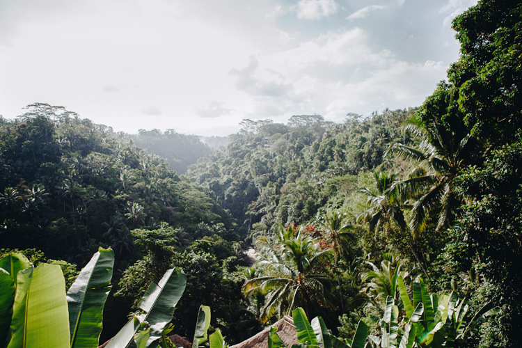 Outdoor Destination Luxury Adventure Ubud Forest Indonesia Views | Whimsical Exotic Tropical Jungle Wedding Bali http://www.cecilephotographybali.com/