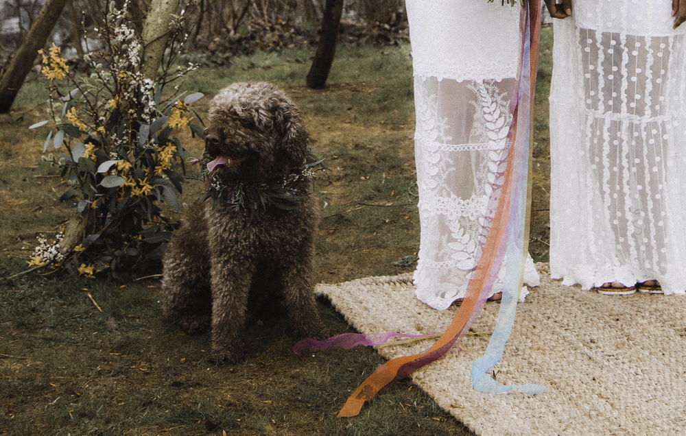 Dog Pet Colourful Boho Festival Wedding Ideas Ella Violet Photography