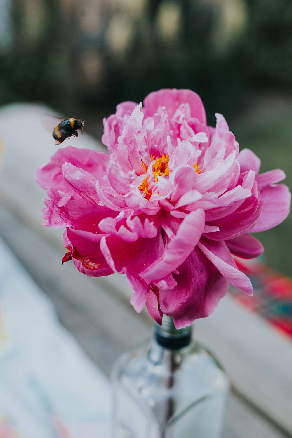 Bottle Jar Flowers Peony Bee Pink Table Decor Colourful Bright Summer Pub Wedding Charlotte Razzell Photography