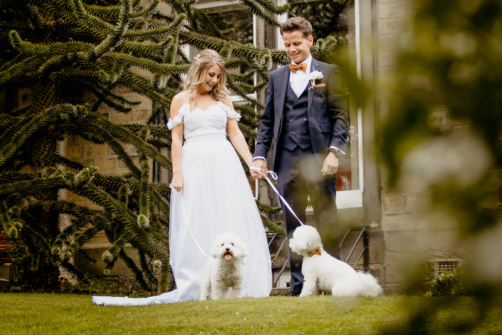 Dogs Pets Crow Hill Wedding Tim Simpson Photography