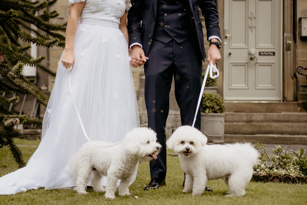 Dogs Pets Crow Hill Wedding Tim Simpson Photography