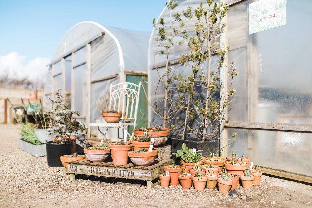 Greenhouse Wedding Ideas Secret Herb Garden Siobhan Stewart Photography