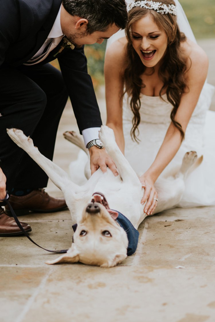 Bride Bridal Headpiece Veil Sweetheart Neckline Dress Gown Black Grey Waistcoat Suit Groom Dog Pet Le Petit Chateau Wedding Chris Randle Photography