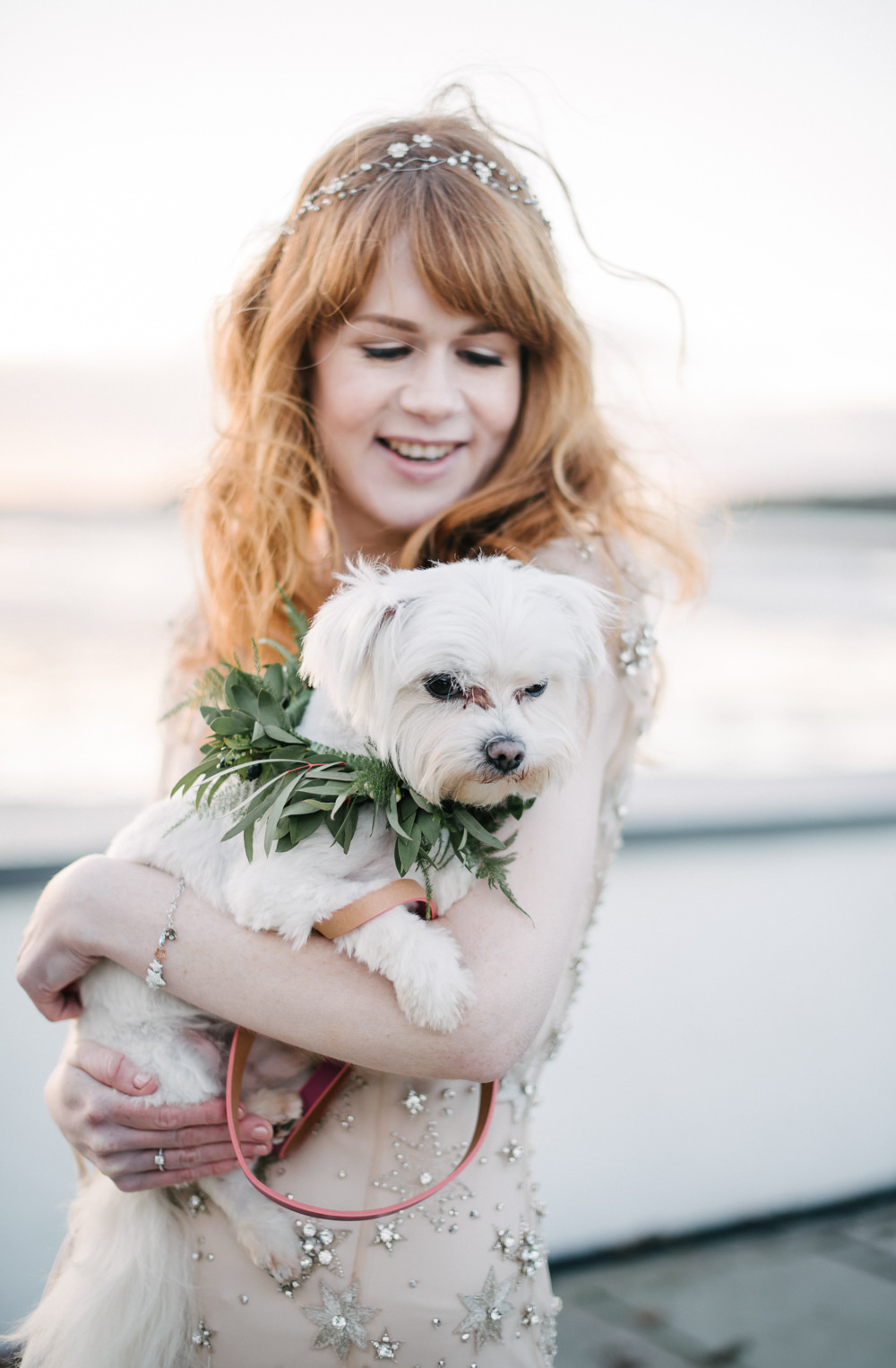 Bride Bridal Dog Pet Foliage Greenery Collar Garland Orange Tree House Wedding Winter You Them Us Photography