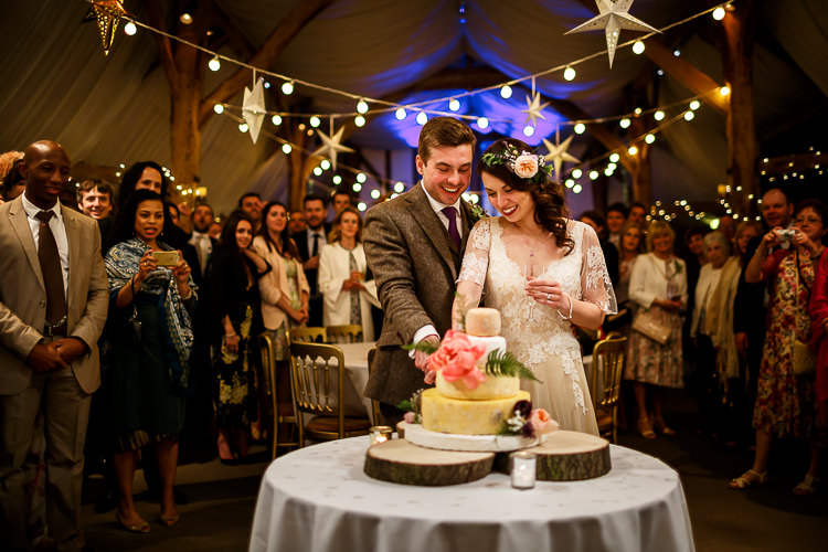 Festoon Lights Stars Celestial South Farm Wedding Midsummer Night's Dream Lina and Tom Photography