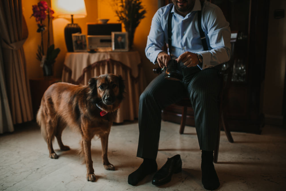 Outdoor Seville Destination Villa Groom Dog Morning Prep | Colorful and Heartfelt Wedding in Spain Boda&Films