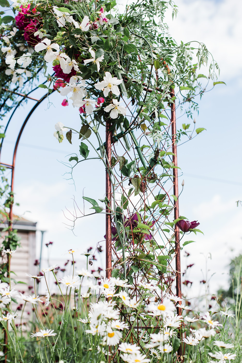 Flower Arch Ceremony Backdrop Wire Metal Colourful Bohemian Floral Wedding Ideas Anna Beth Photography
