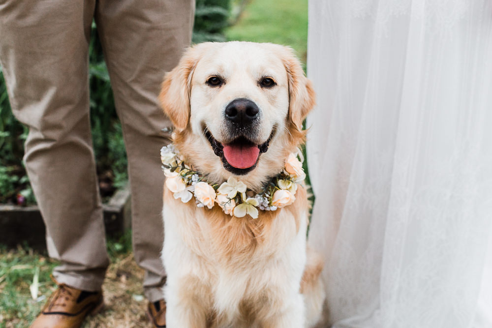 Dog Pet Colourful Bohemian Floral Wedding Ideas Anna Beth Photography