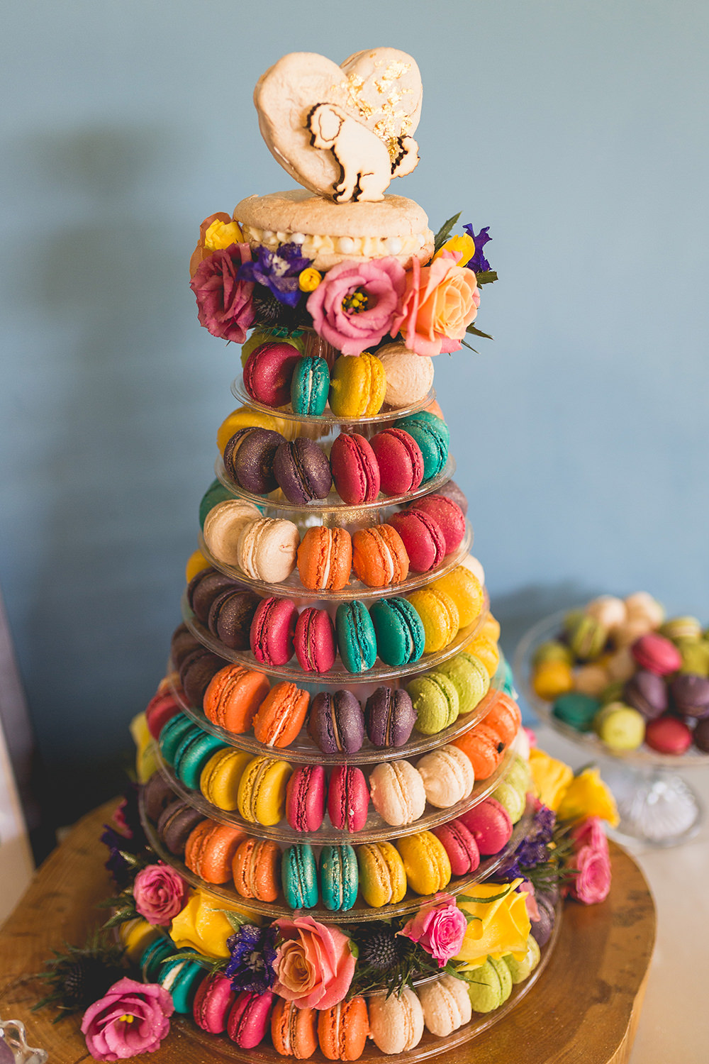 Colourful Multicolour Rainbow Macaron Tower Cake Topper Dog Hothorpe Hall Woodlands Wedding Lucy Long Photography