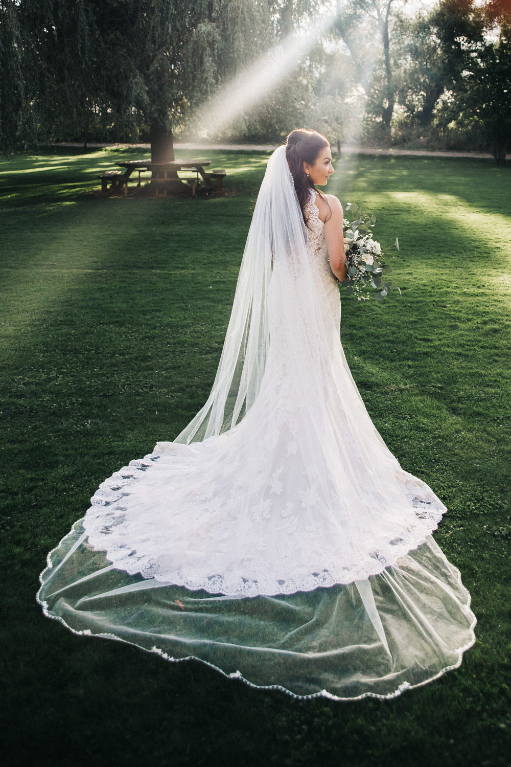 Lace Dress Train Fit Flare Button Bride Bridal Gown Veil Wray's Barn Whinstone View Wedding Sally T Photography