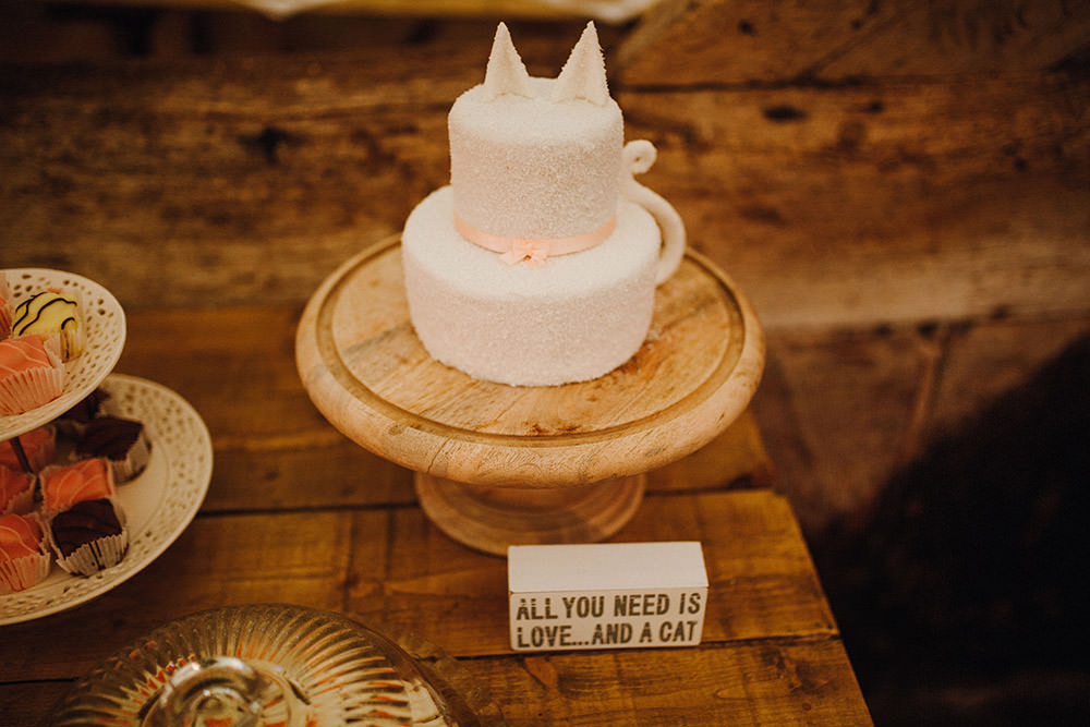 Cat Cake Pimhill Barn Wedding Shrophire Leah Lombardi Photography