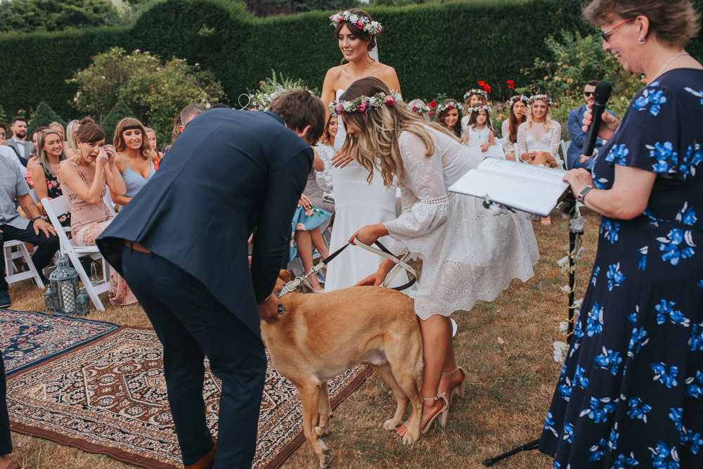 Dog Pet Rings Summer Boho Outdoor Wedding A Little Picture