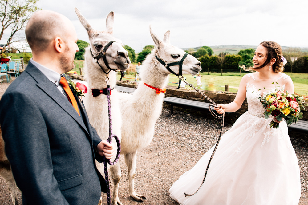 Bride Bridal Lace Tulle Full Skirt Sweetheart Illusion Navy Suit Orange Tie Groom Llamas Bow Tie Fun Quirky Colourful Wedding Fairclough Studios