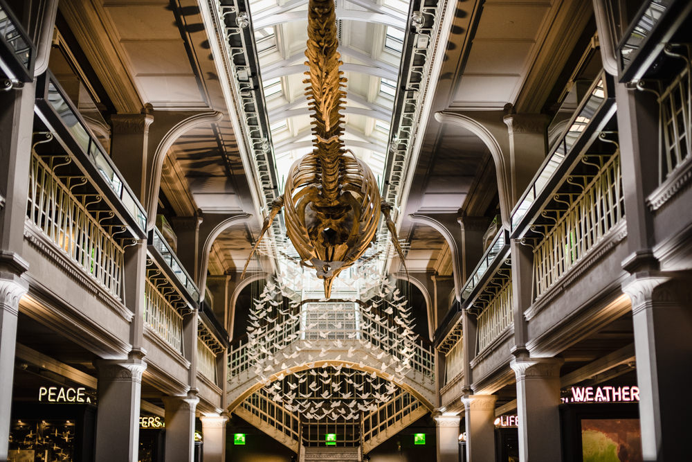 Manchester Museum Wedding Chris Barber Photography