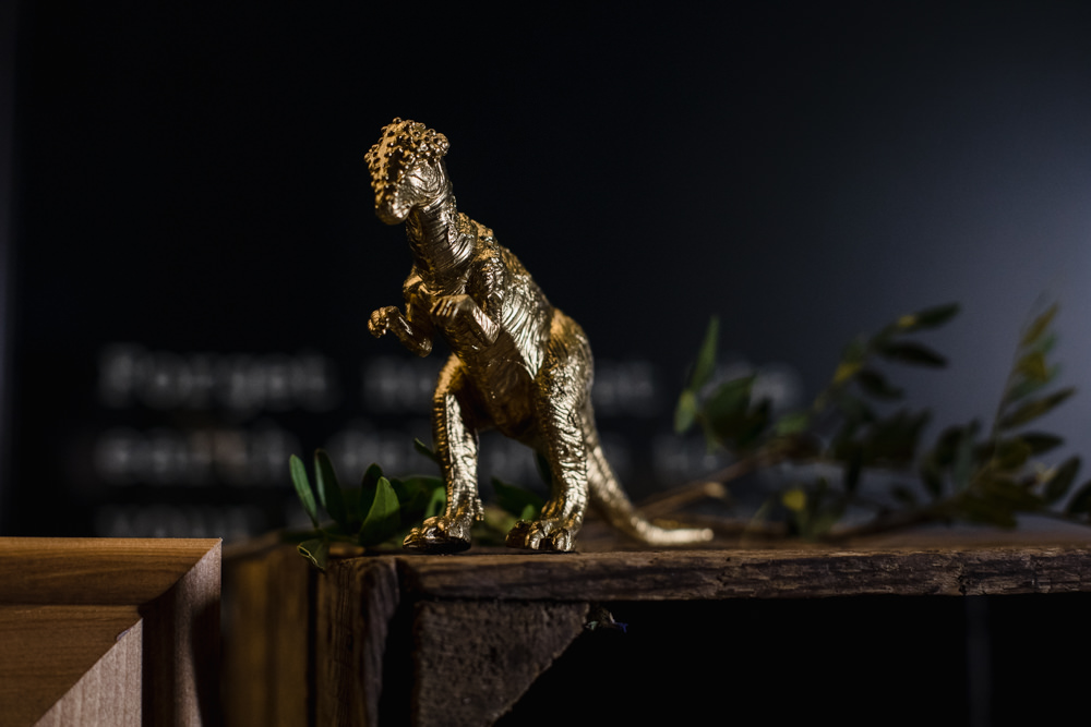 Gold Dinosaur Manchester Museum Wedding Chris Barber Photography
